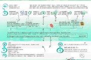 公司如何高效申请公众号，全流程指南