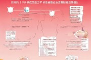 深圳生育津贴申请全攻略，一步一图解流程