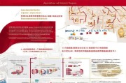 深圳创业补贴申请全攻略，政策解读、流程指南与实用建议